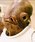 Star Wars - Ackbar Admirális