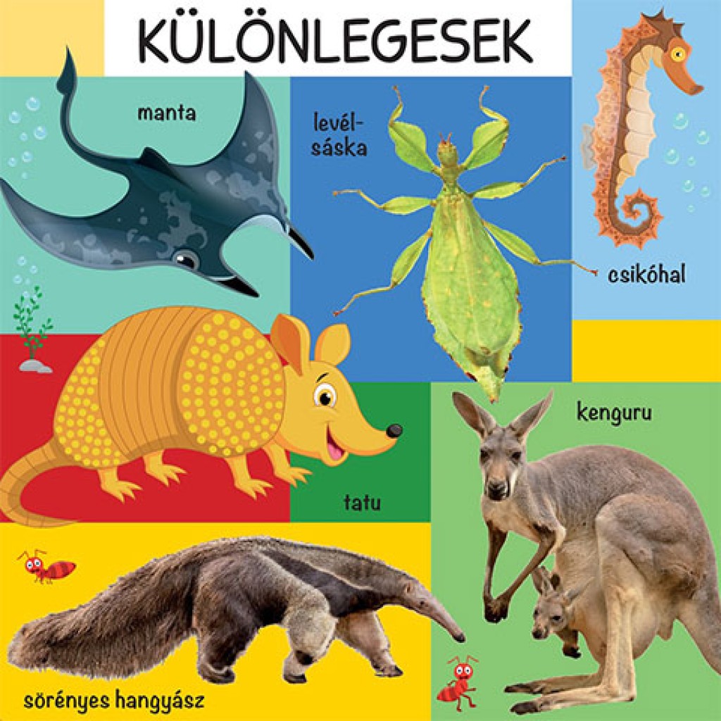 101 színes kép a vadon élő állatokról babakönyv kép 3