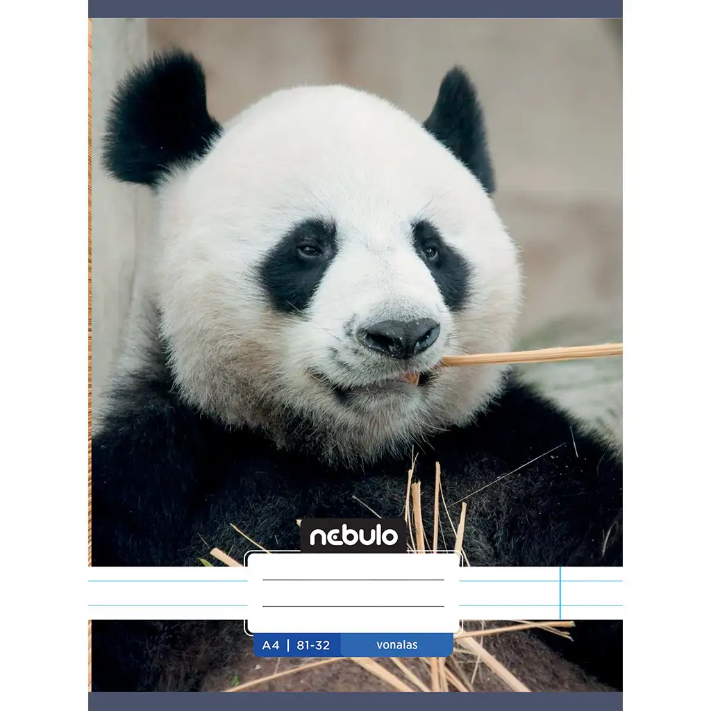 Nebulo: Panda mintás vonalas füzet 81-32 A/4 kép 1