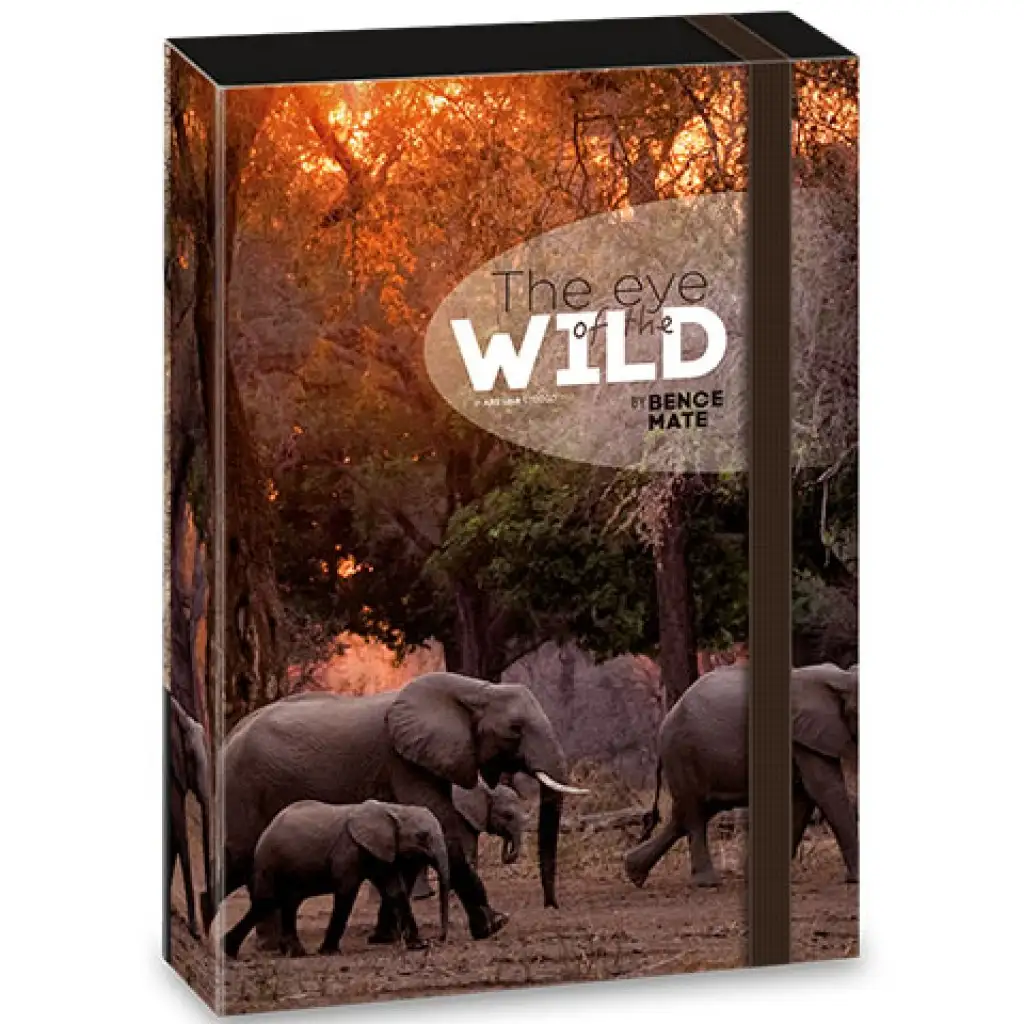 Ars Una: Máté Bence The Eyes of the Wild - Elefánt füzetbox A/4 kép 1