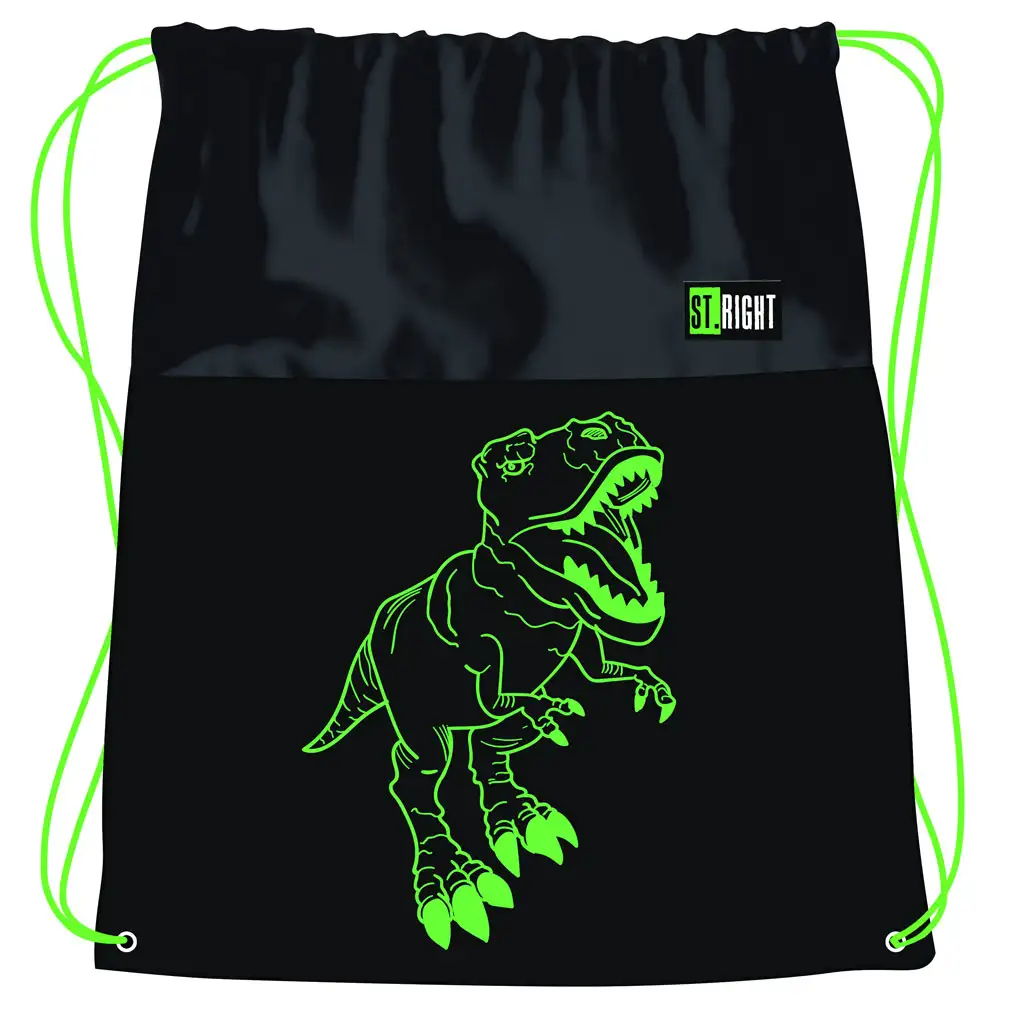 St.Right T-Rex dinoszaurusz mintás tornazsák, sportzsák 43x32cm kép 1