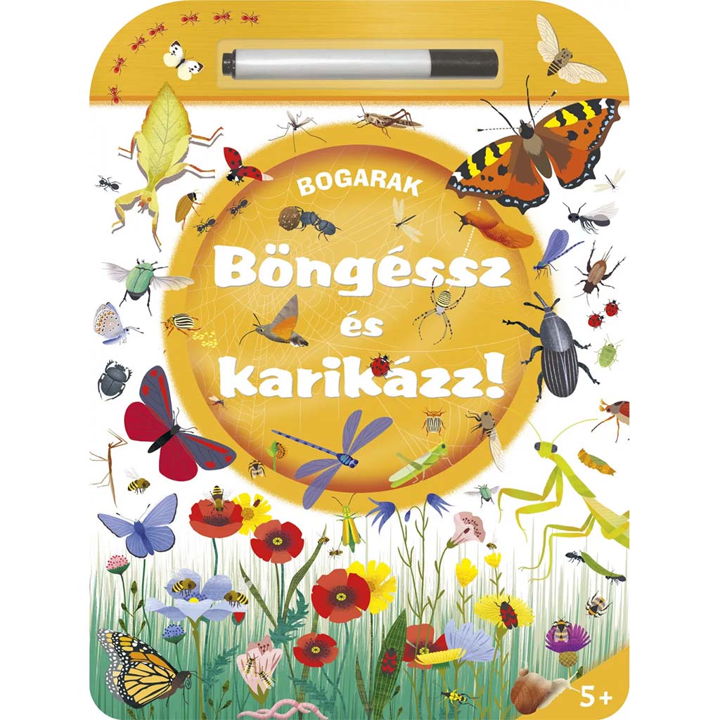Böngéssz és karikázz - Bogarak kép 1