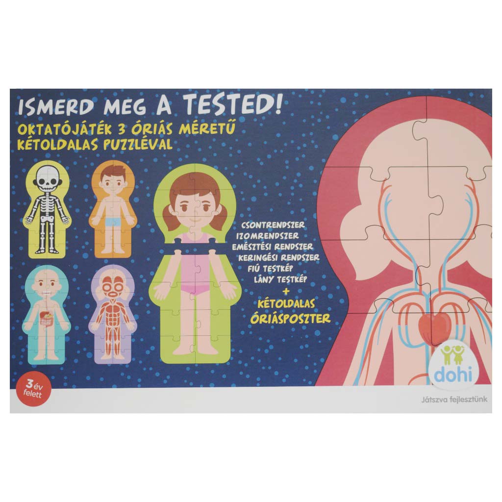 Ismerd meg a tested oktatójáték - D-Toys kép 1