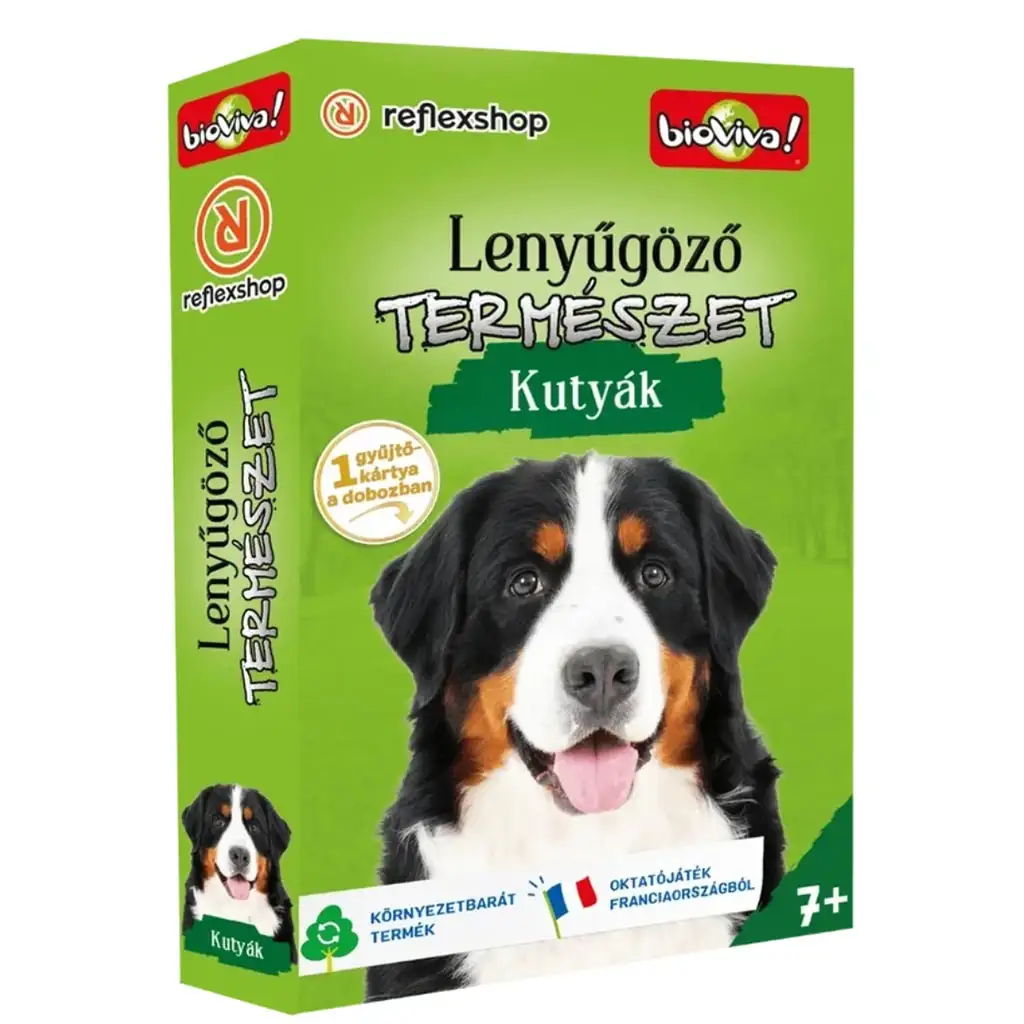 Lenyűgöző természet - Kutyák kártyajáték kép 1