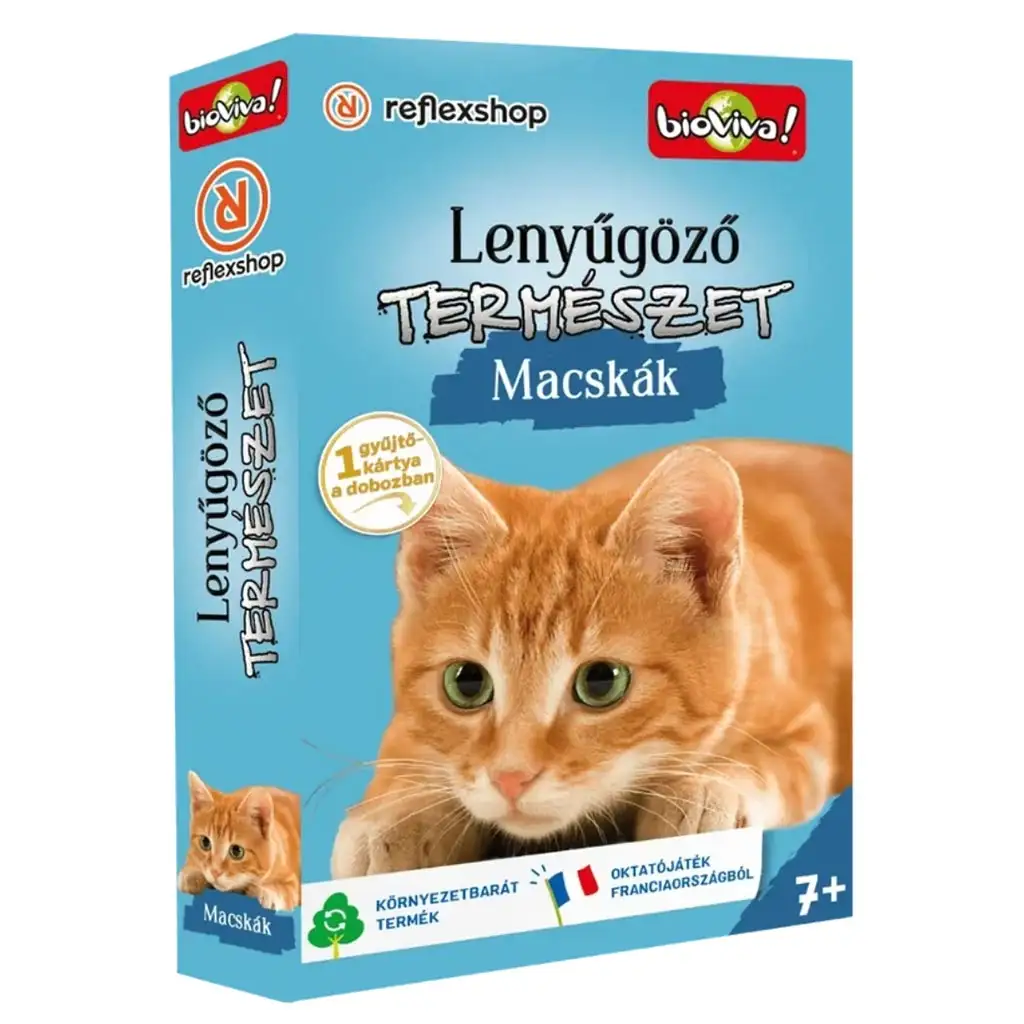Lenyűgöző természet - Macskák kártyajáték kép 1