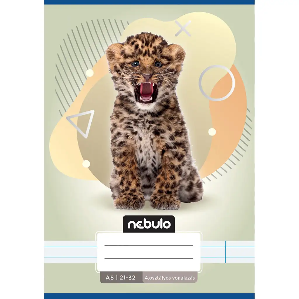 Nebulo: Leo mintás 4.osztályos vonalas füzet A/5 21-32 kép 1