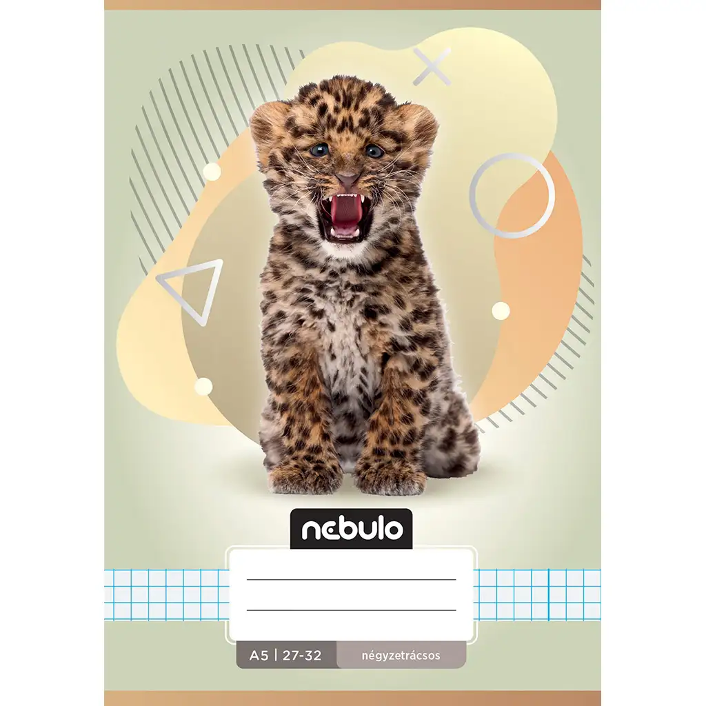 Nebulo: Leo mintás kockás füzet A/5 27-32 kép 1