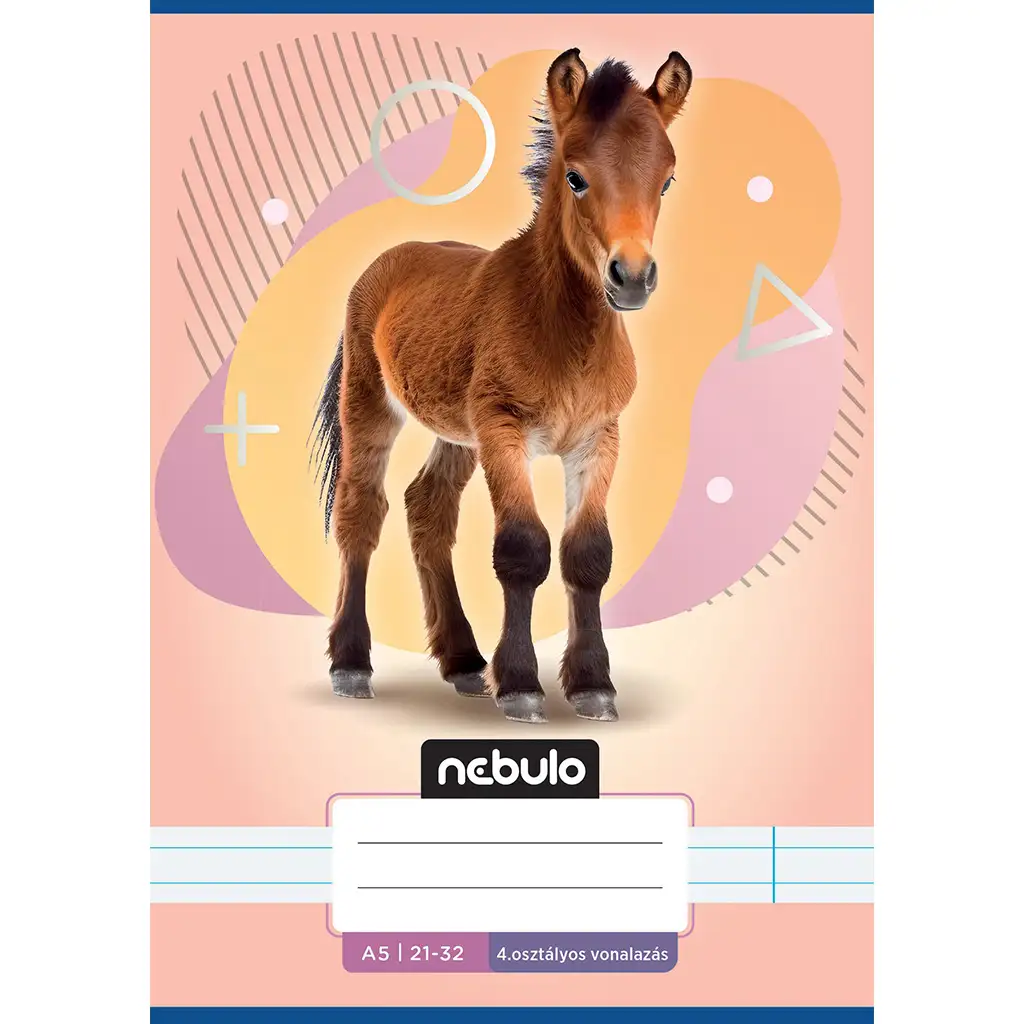 Nebulo: Paci mintás 4.osztályos vonalas füzet A/5 21-32 kép 1