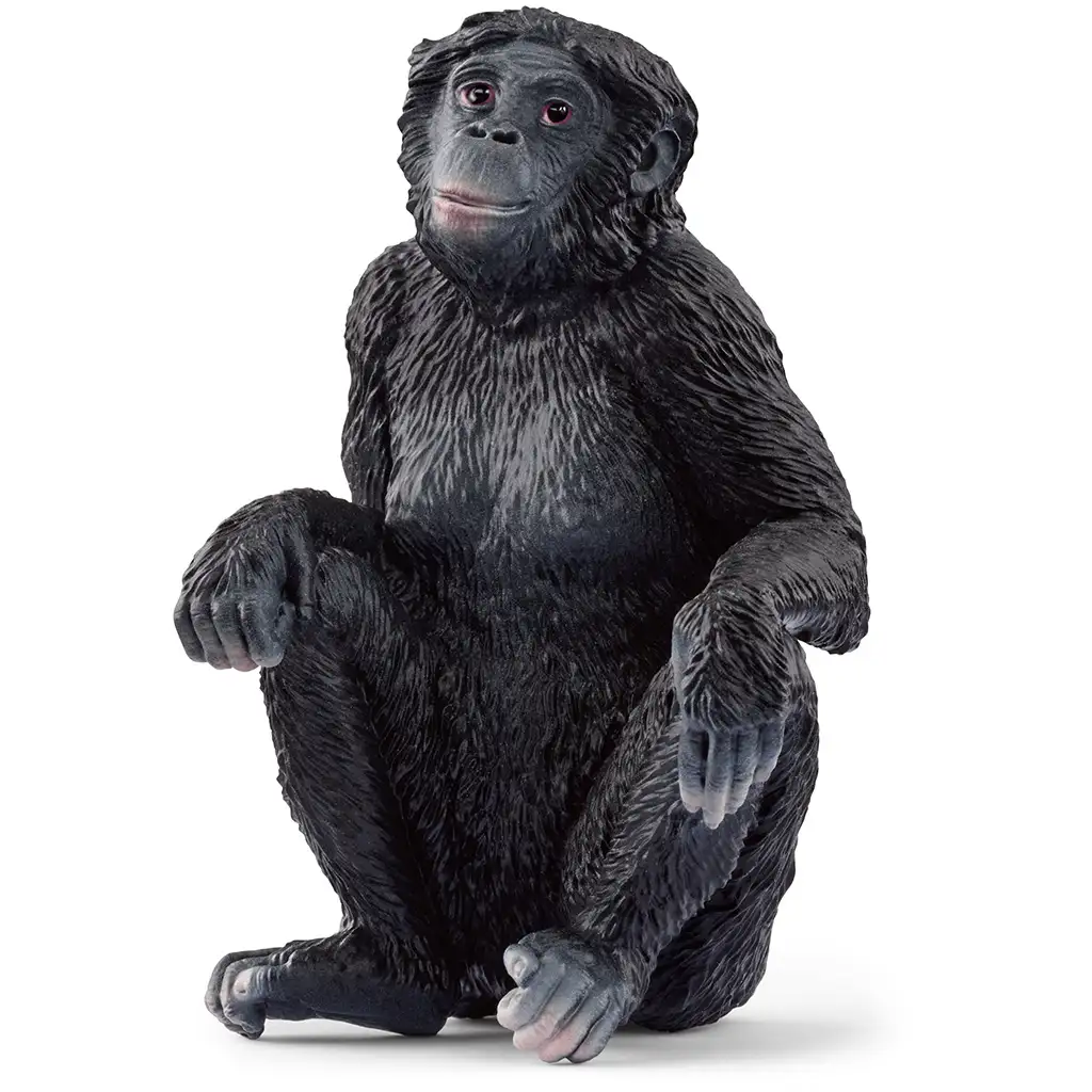 Schleich: Bonobo nőstény figura (14875) kép 1