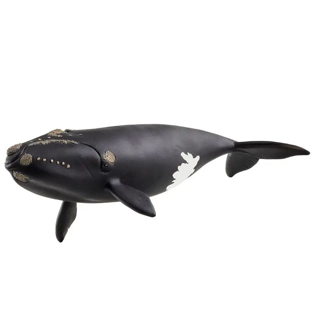 Schleich: Észak-atlanti bálna figura (14878) kép 1
