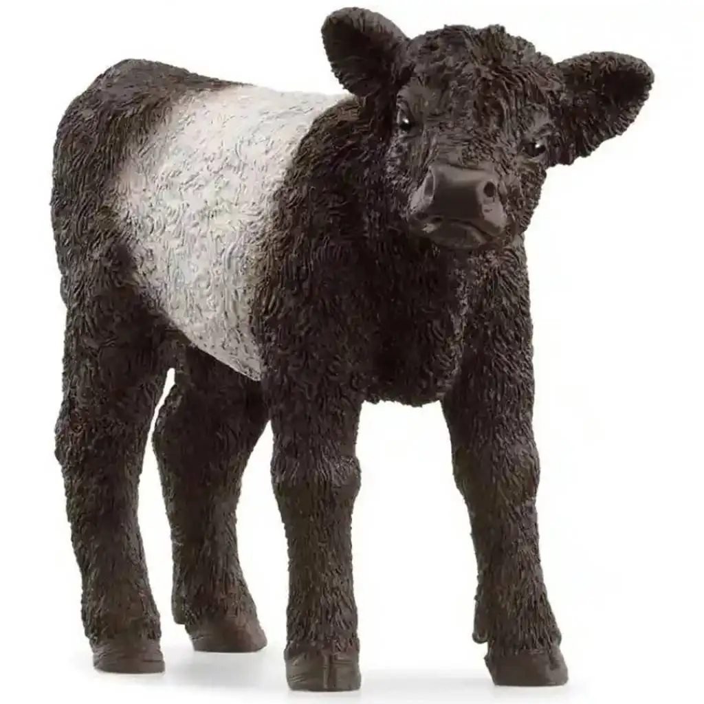 Schleich: Galloway borjú figura (13969) kép 1