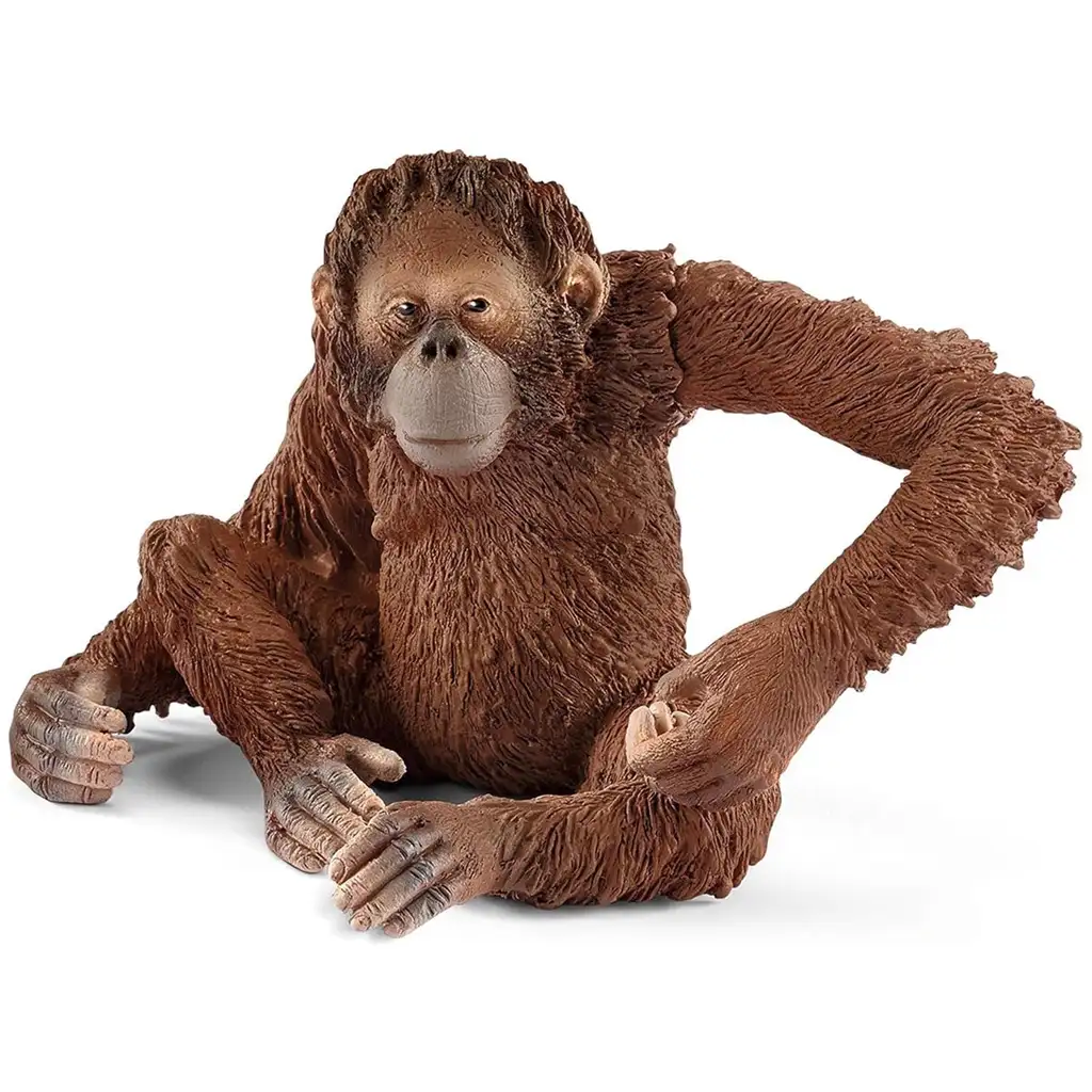 Schleich: Wild Life - Ázsia állatai kezdő 4db-os figura szett (42736) kép 2