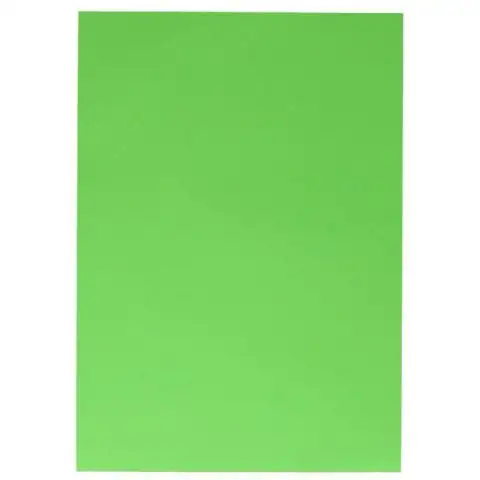 Spirit: Zöld dekor kartonpapír 70x100cm 220g-os kép 1