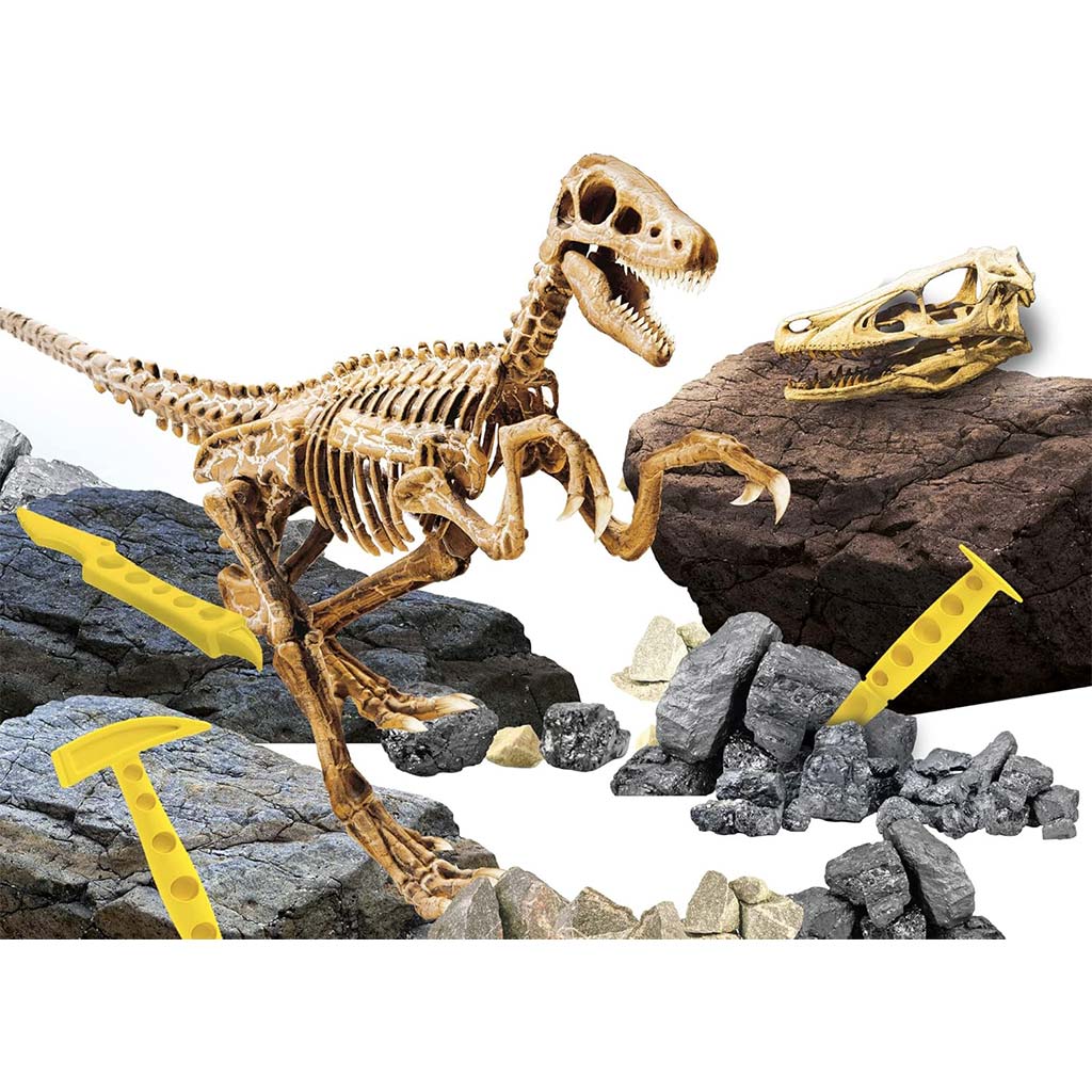 I'm Genius Velociraptor régész szett - Lisciani kép 3
