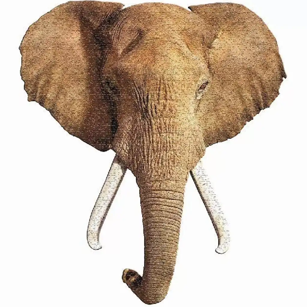 WOW óriás elefánt puzzle 700db-os kép 2