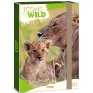 Ars Una: Icons of the Wild Lions A/4 füzetbox