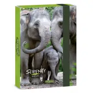 Ars Una: Serenity Elefánt A5-ös füzetbox