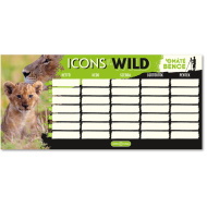 Ars Una: Máté Bence Icons of the Wild-Lions egylapos, kétoldalas órarend