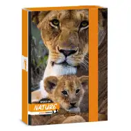 Ars Una: Máté Bence Spirit of Nature - Oroszlános füzetbox A/5