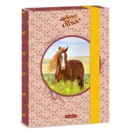 Ars Una: My Sweet Horse A5 füzetbox